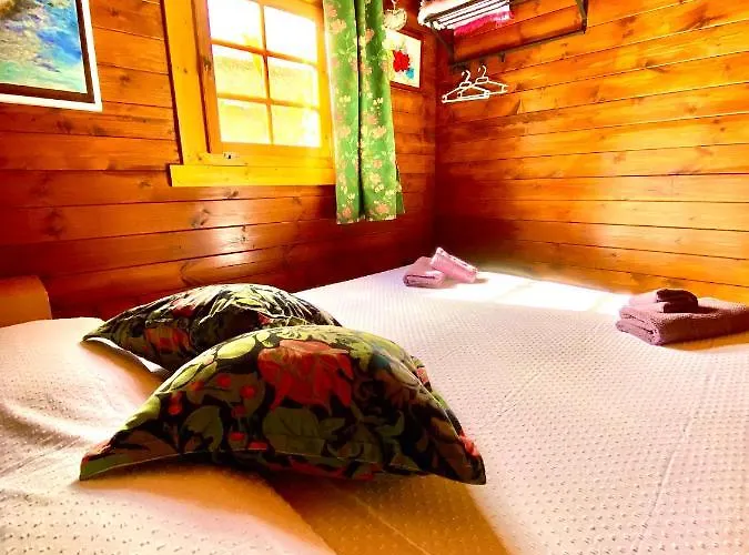 Canary Wild House 2 ヴィラ Carrizal