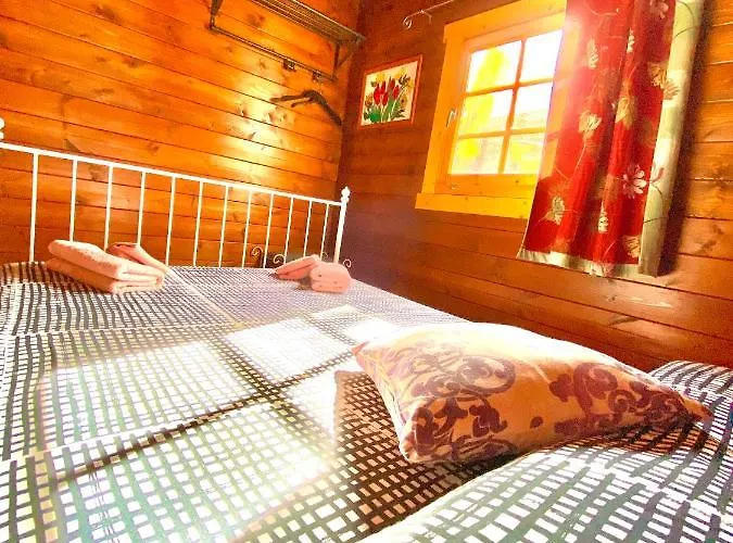 Canary Wild House 2 ヴィラ Carrizal