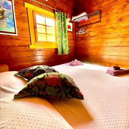 Canary Wild House 2 빌라 Carrizal